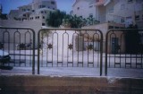 picture_  